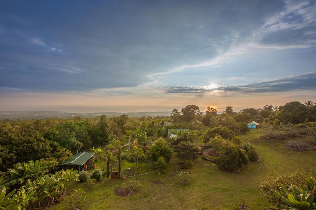 Pensión Banyan Tree Sanctuary