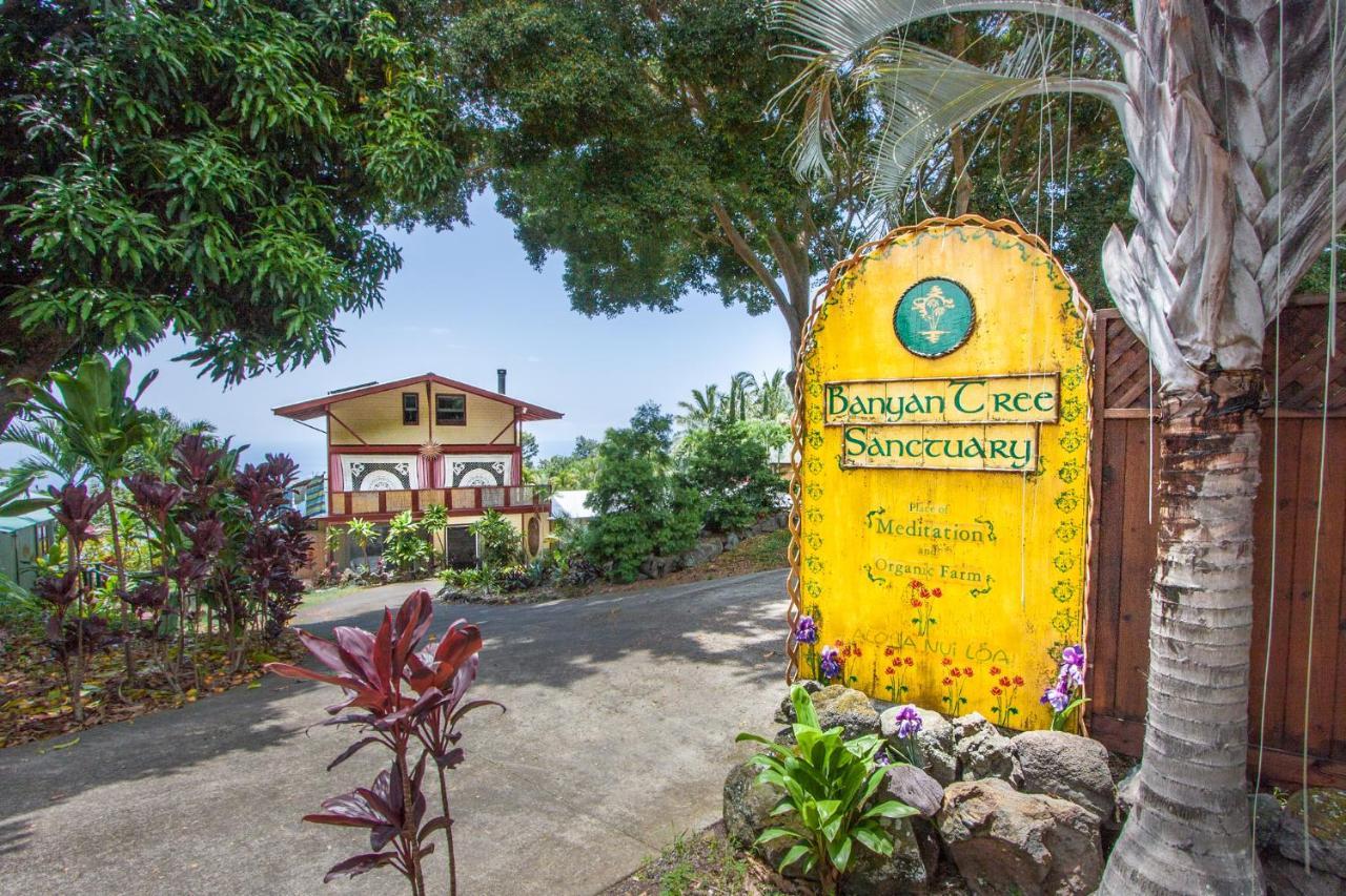 Pensión Banyan Tree Sanctuary 3*