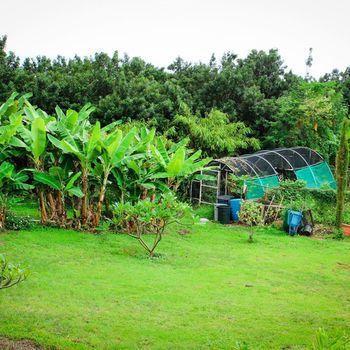 Banyan Tree Sanctuary 3*