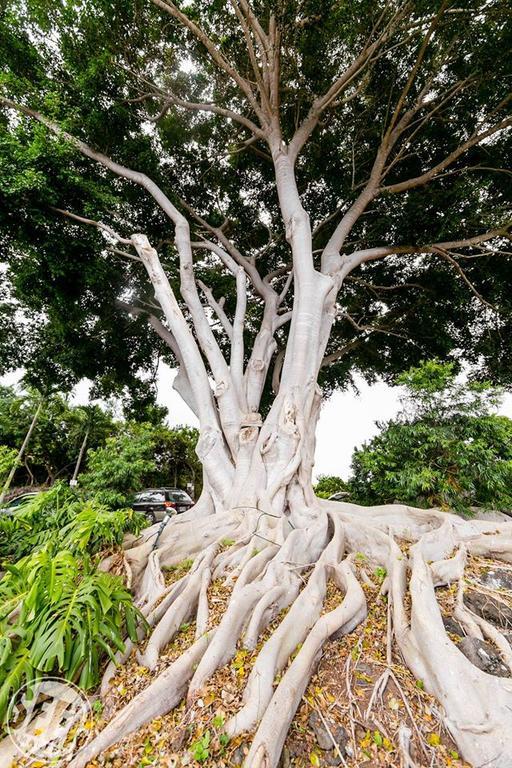 Banyan Tree Sanctuary 3*