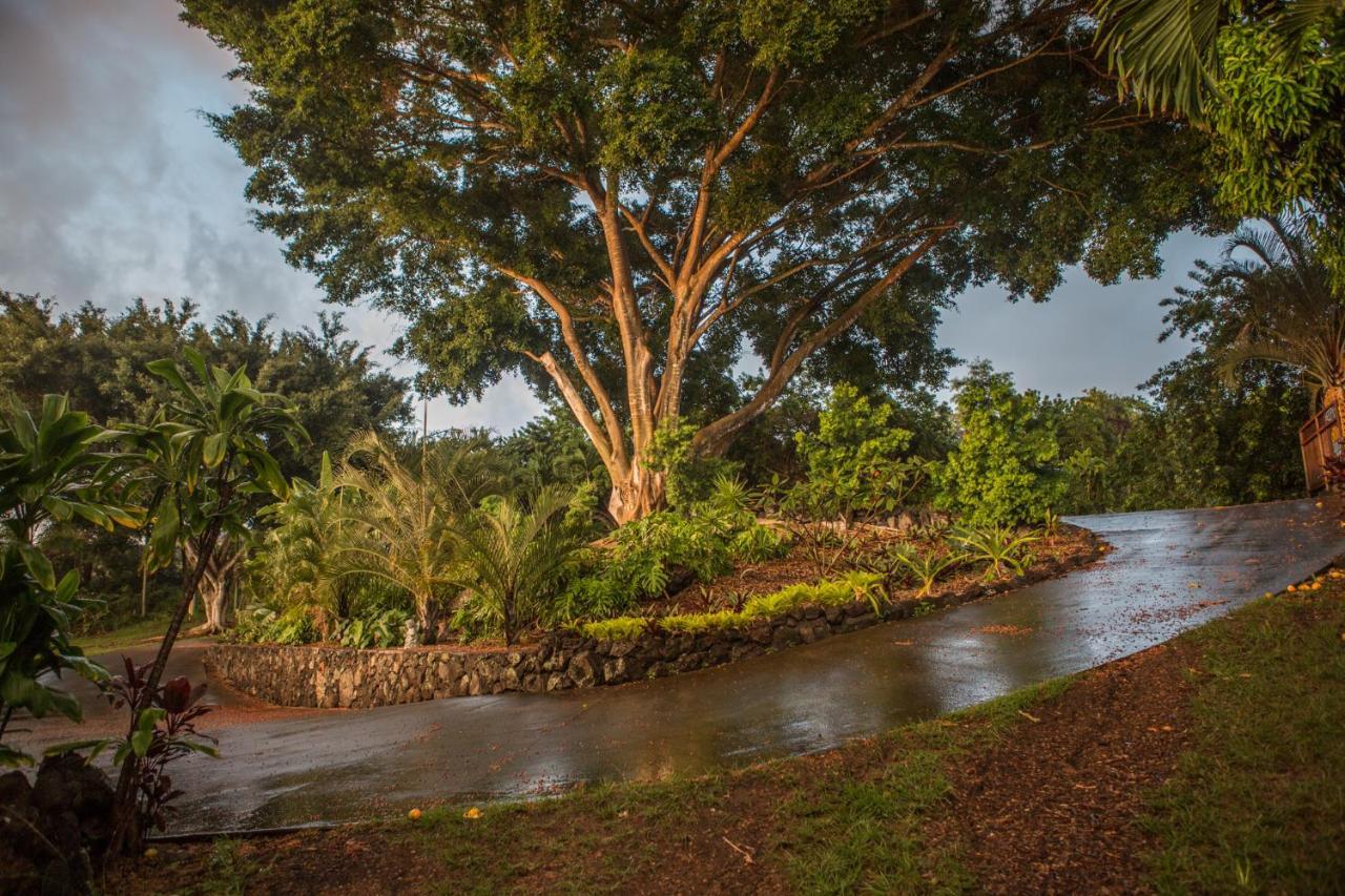 Banyan Tree Sanctuary