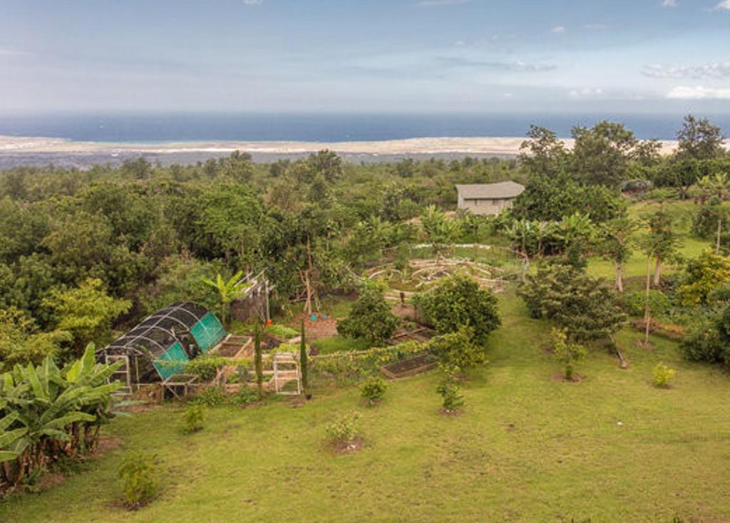 Guest house Banyan Tree Sanctuary 3*